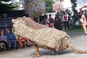 Achara